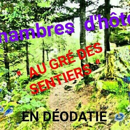 Au Gre Des Sentiers Chez Marie Et Pierre Bed and Breakfast Saint-Die-des-Vosges Exteriör bild