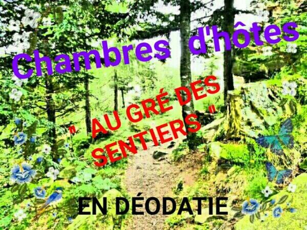 Au Gre Des Sentiers Chez Marie Et Pierre Bed and Breakfast Saint-Die-des-Vosges Exteriör bild